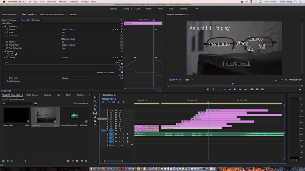 This is a screenshot of Premiere Pro, which I used to produce the Haiku video.