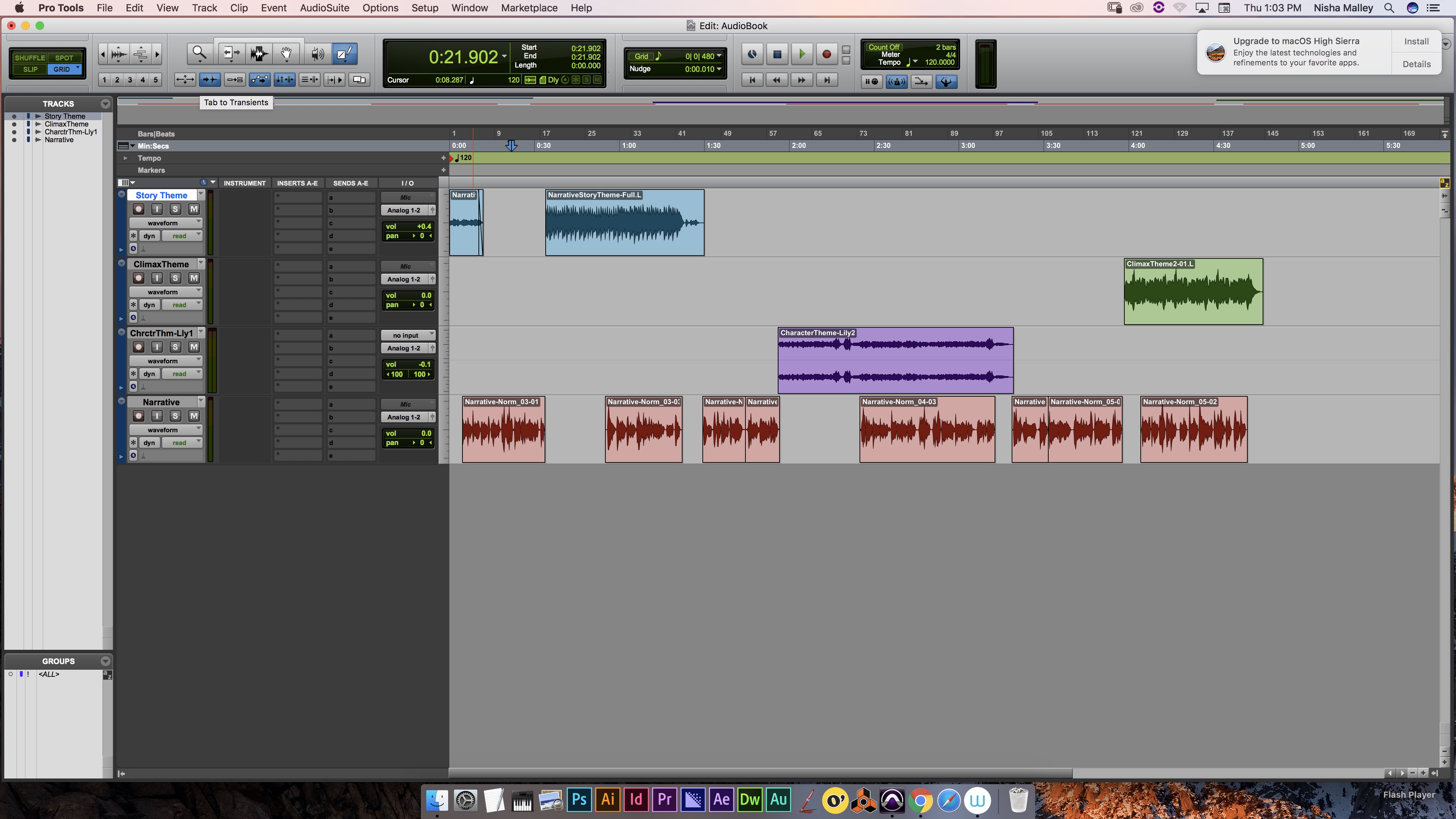 This is a screenshot of my Pro Tools session for my audio book.