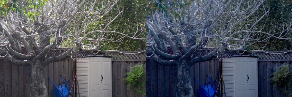 Two photos side by side, one color-graded but otherwise identical, featuring a tree over a garden shed in front of a fence.