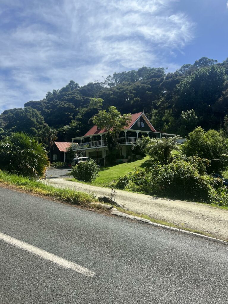 A house on the side of the road in New Zealand, with a varity of green plants