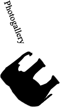 btnPhotogallery
