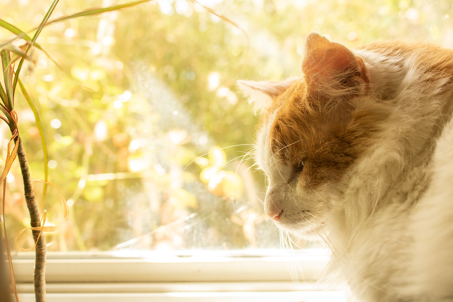 warmth