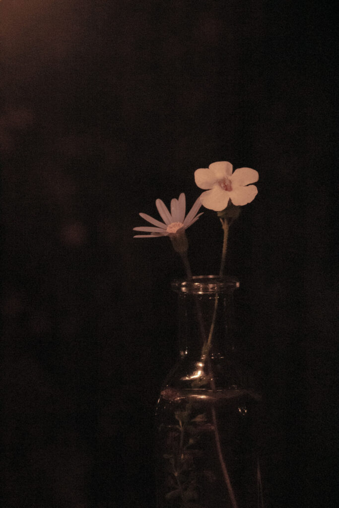 A grainy photo of two flowers in a vase outside at night.