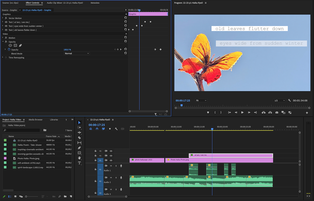 a photo of the premiere pro interface when editing the video for the photo haiku. 