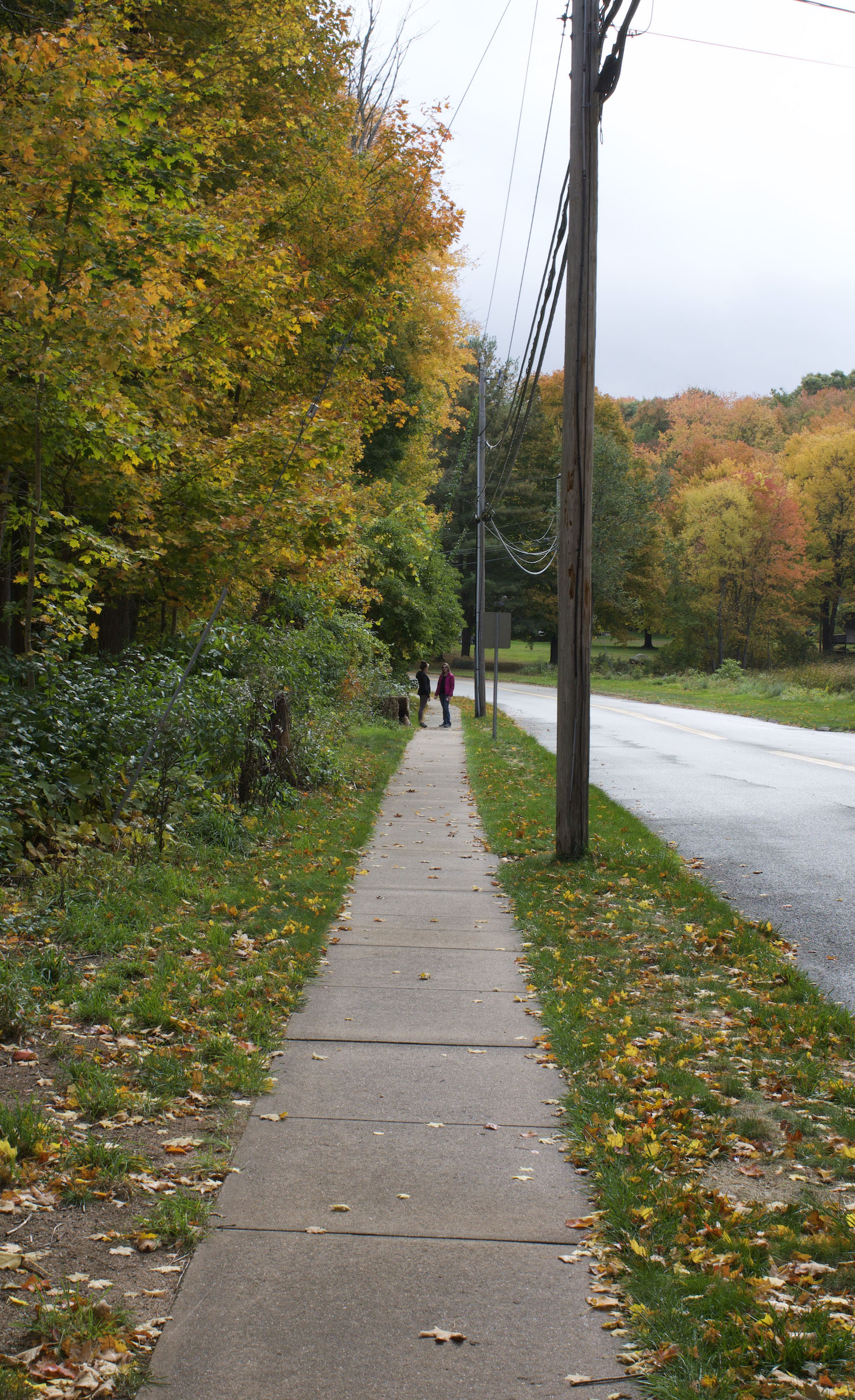 leading lines of sidewalk lead to two figures among fall leaves