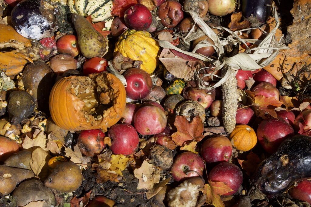 A pile of apples, brown leaves, broken pumpkins, a bare corn cob, etc.
