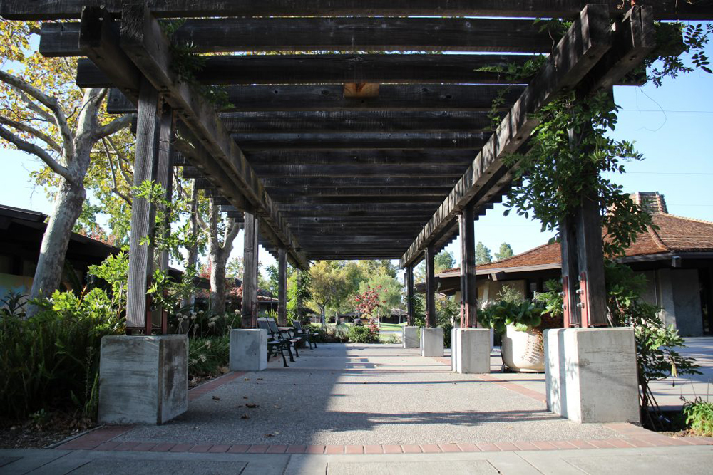 A wooden outdoor canopy with plants and other vines growing among it. The pillars holding up the canopy are parallel to one another.