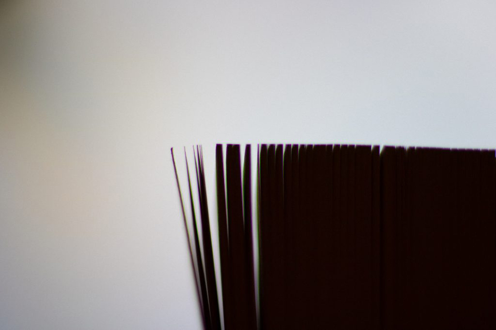 book pages up close against a white background