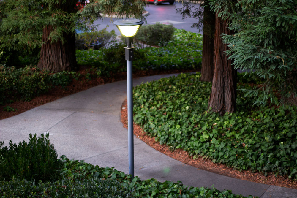 Lamppost standing straight with background of a path diverging into two paths with green bushes and trees.