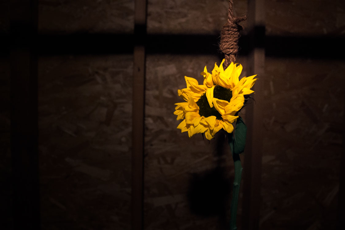 The picture is a sunflower being hanged by a noose