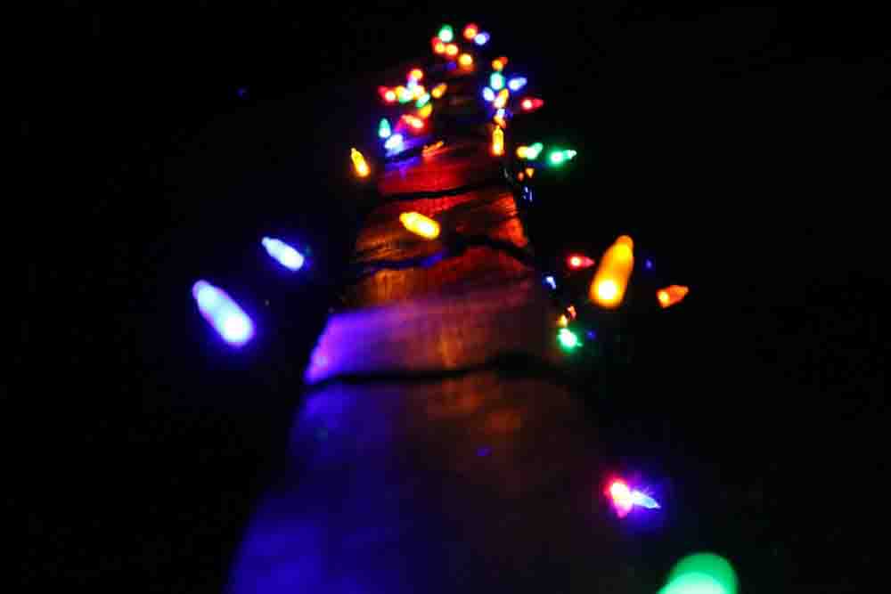A photo of some Christmas lights on a fence.