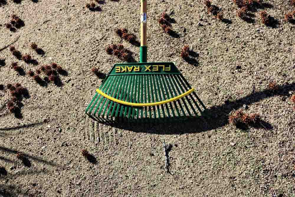 A photo of a rake.