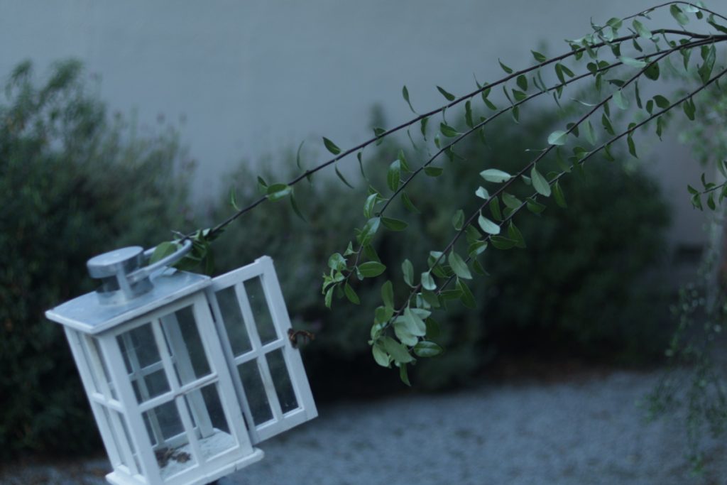 an empty wooden lantern is suspended by the thin branch of a tree