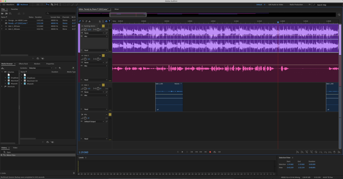adobe audition session of the parody song