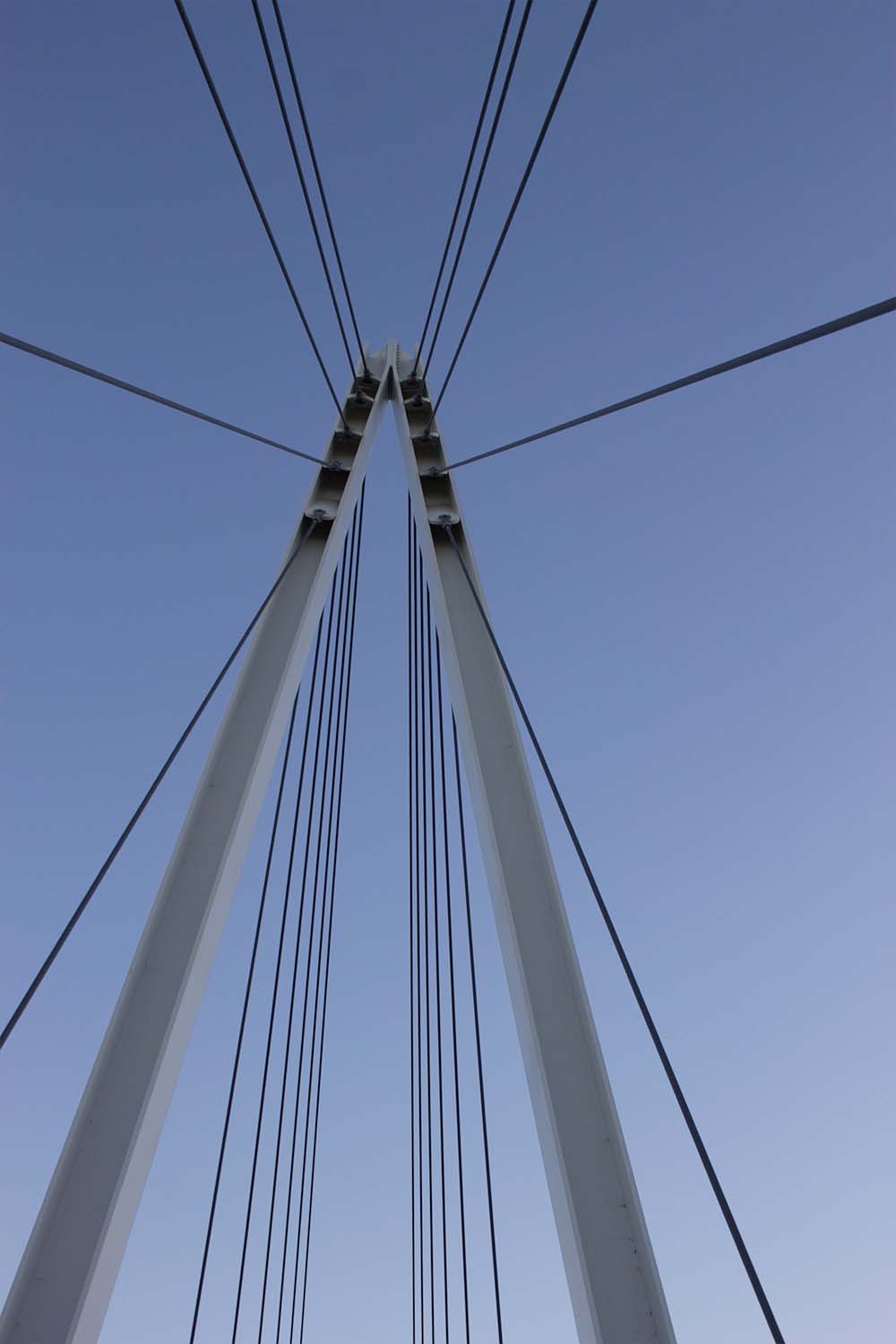 A bridge with lines all connecting to the top