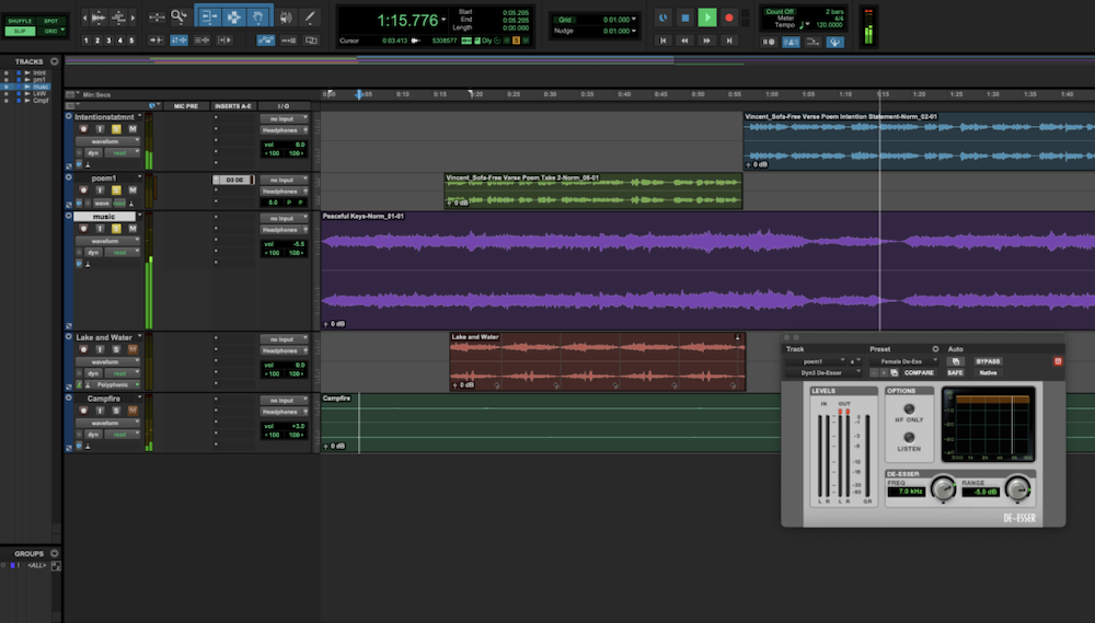 Screenshot of Pro Tools Audio Editing