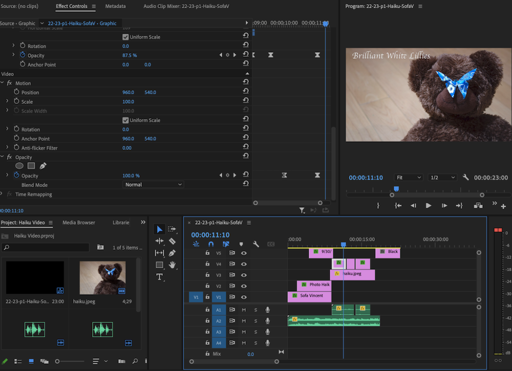 Screenshot of Editing Process