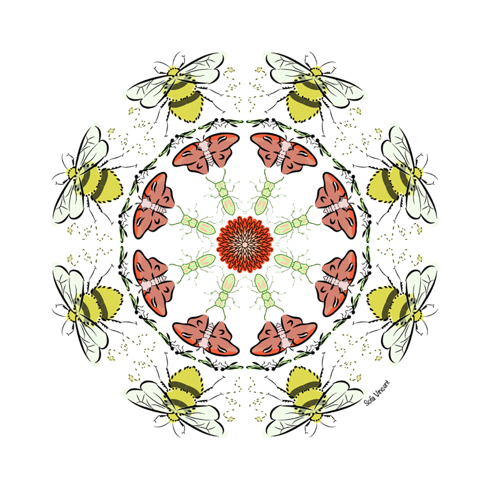 Colored mandala of bugs with flower in center
