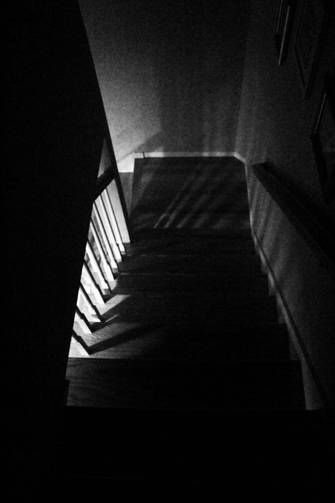 black and white photo of staircase.