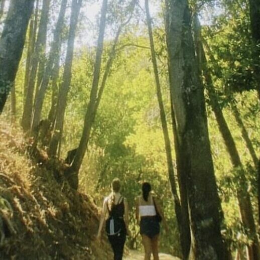 two friends walking in the woods