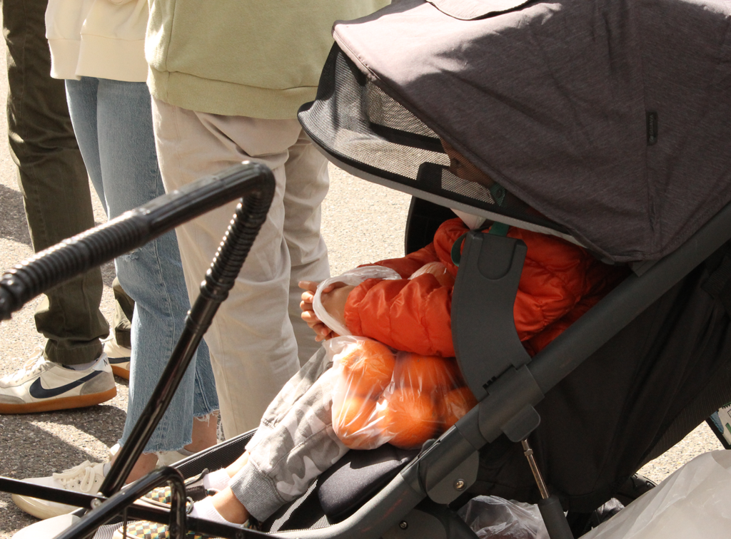 photo of child in stroller