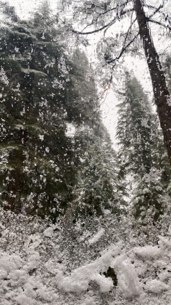 snow on window