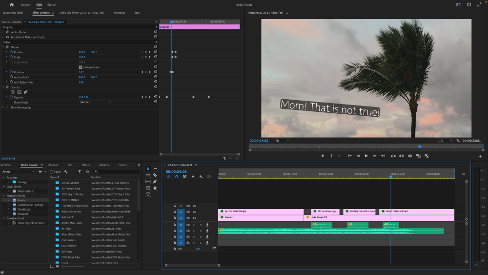 Screenshot of Premiere Pro edits used to create the video