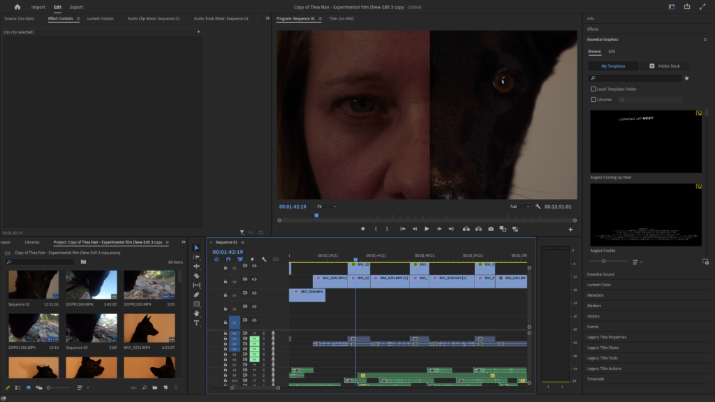 Screen shot of my Experimental Film in Premier Pro