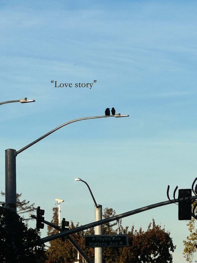 birds on light post with caption "Love story"