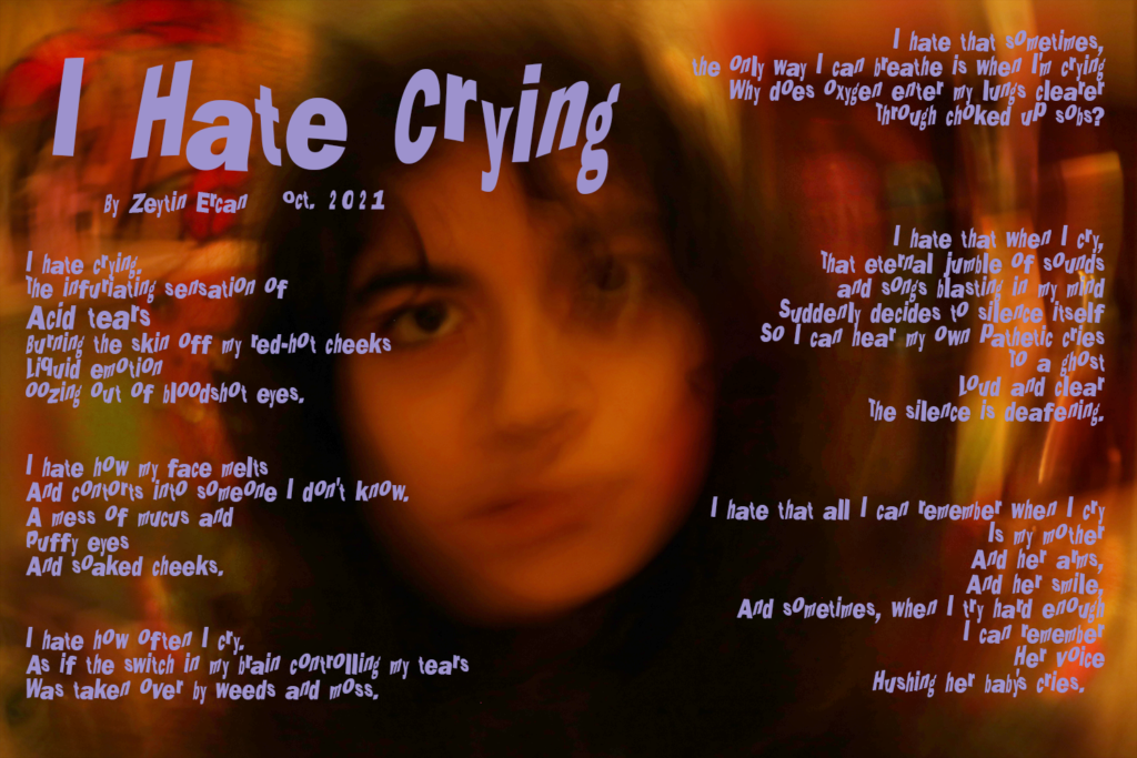 I Hate Crying by Zeytin Ercan